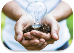 All energies - Panorama energético